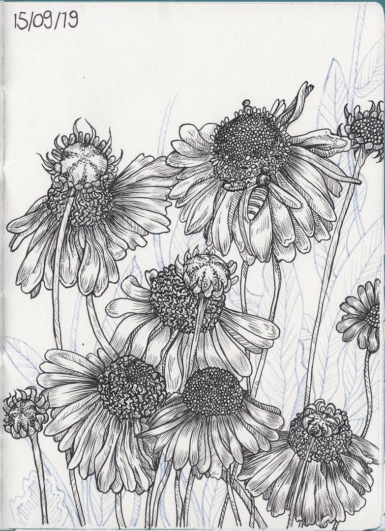 Prepping for Inktober - image 5 - student project