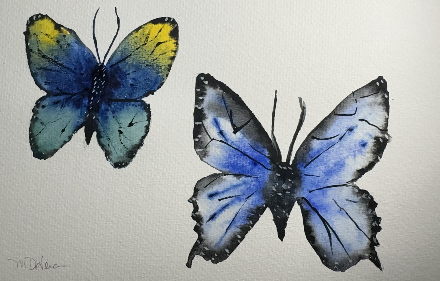 Butterflies  - image 1 - student project