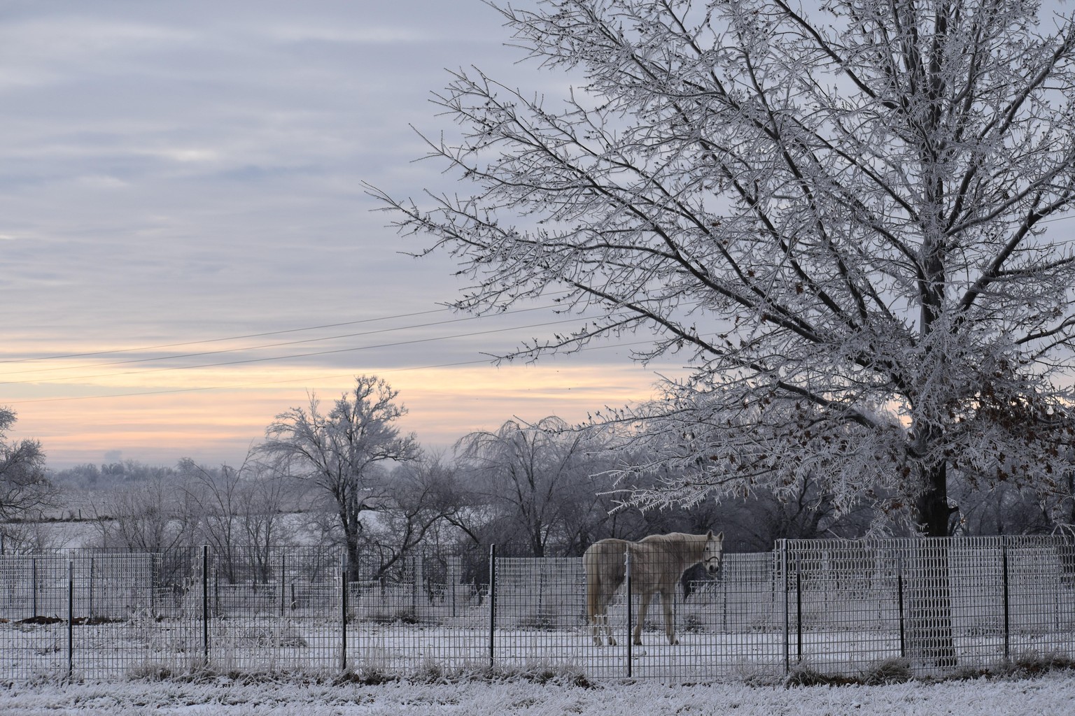 Horse with Sunrise - image 1 - student project