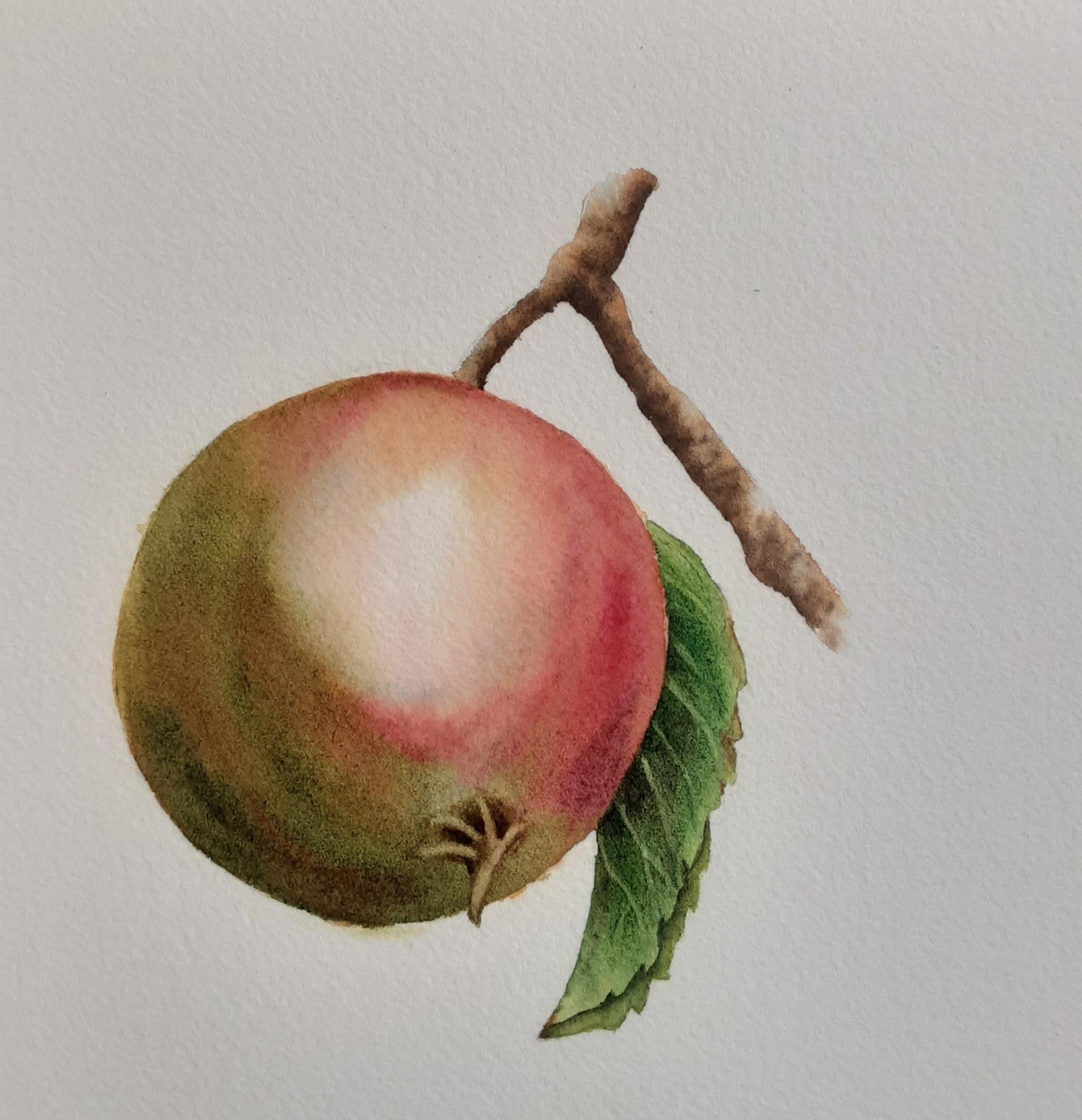Apple - image 3 - student project