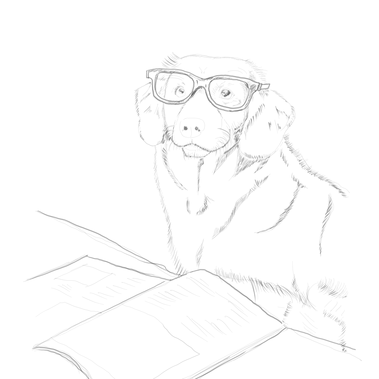 Dog Illustration - image 1 - student project