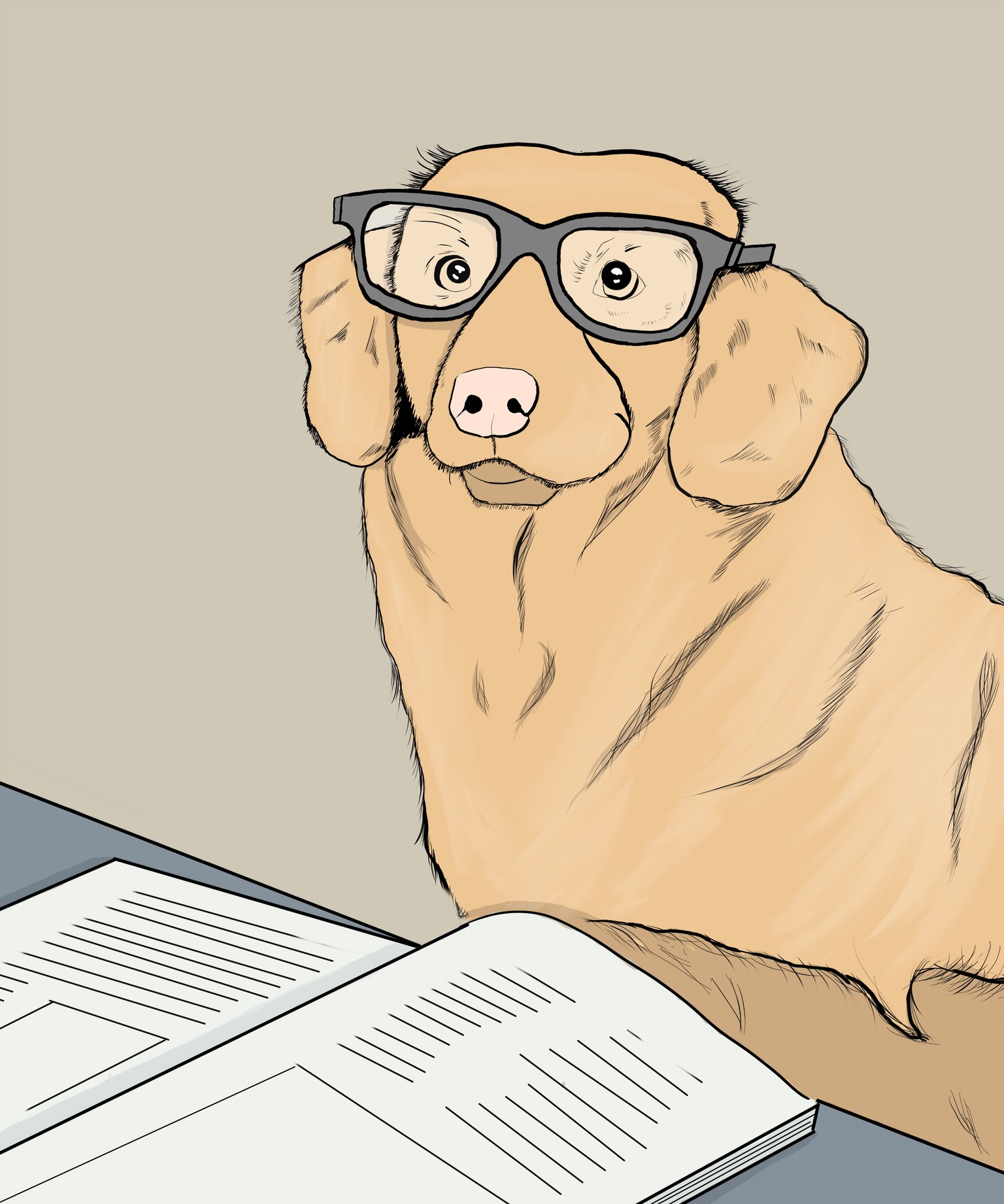 Dog Illustration - image 3 - student project