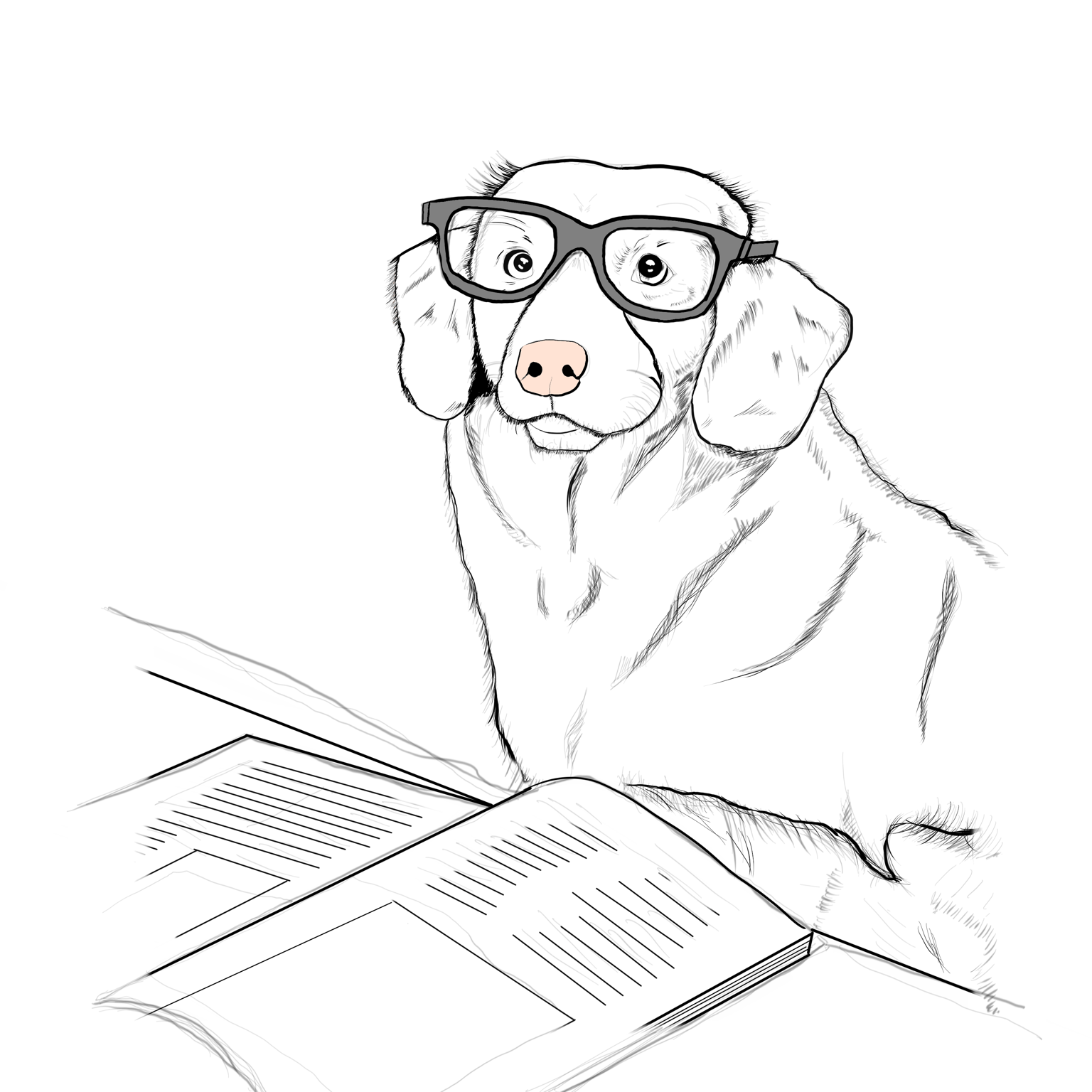 Dog Illustration - image 2 - student project