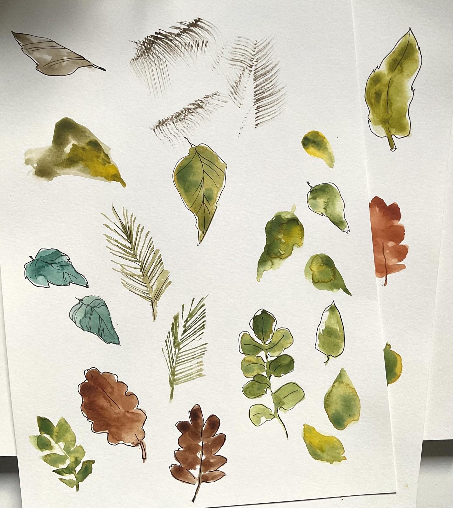 Leaves - image 2 - student project