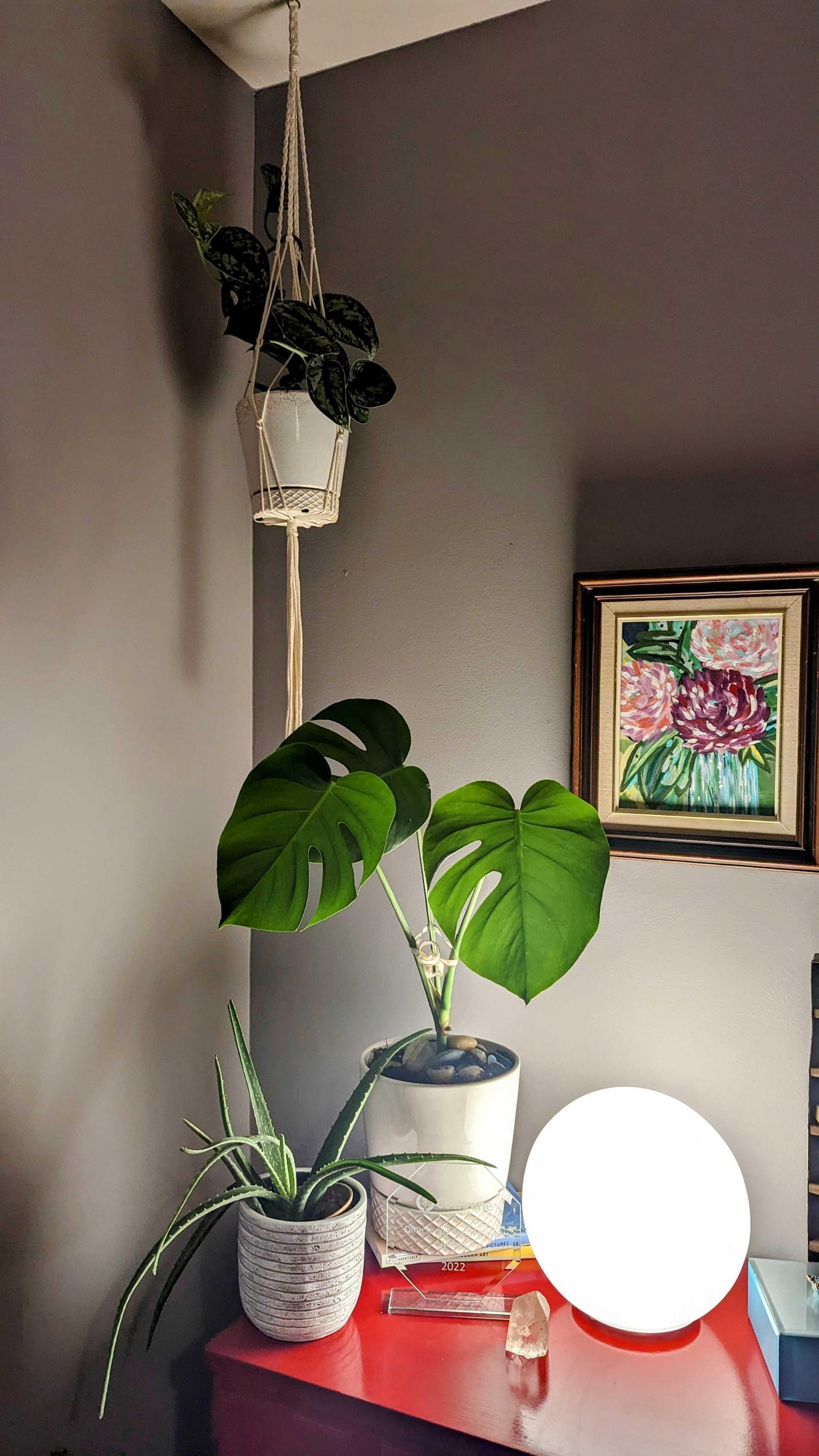 Being more mindful with plants in my office decor - image 9 - student project