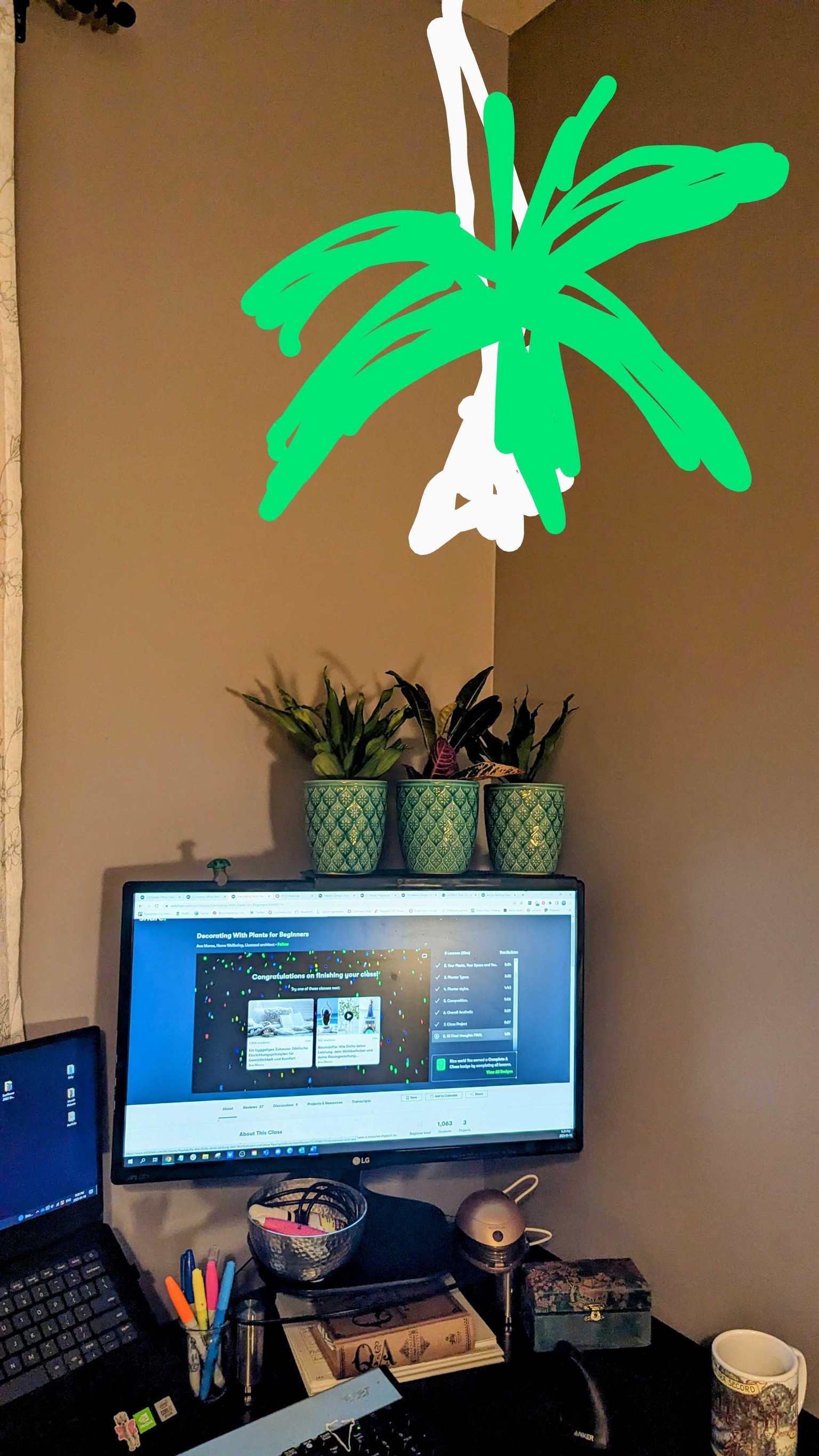 Being more mindful with plants in my office decor - image 6 - student project