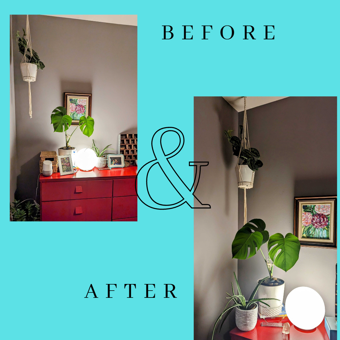 Being more mindful with plants in my office decor - image 13 - student project