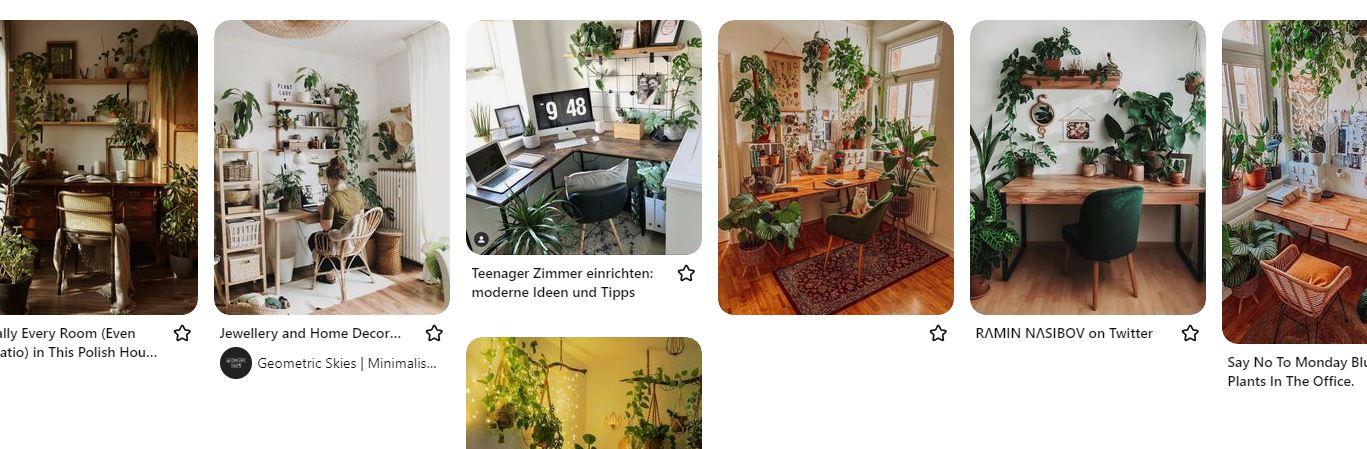 Being more mindful with plants in my office decor - image 1 - student project