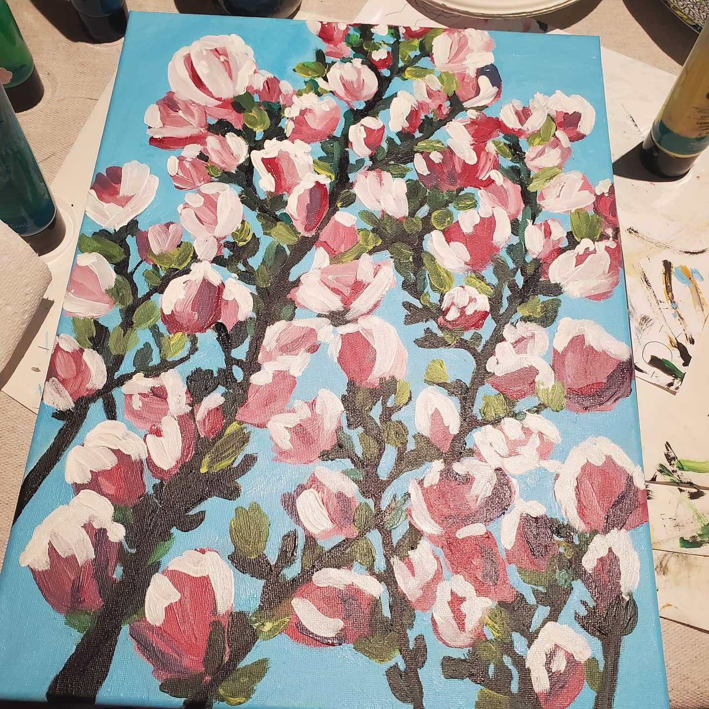 Magnolia tree - image 2 - student project