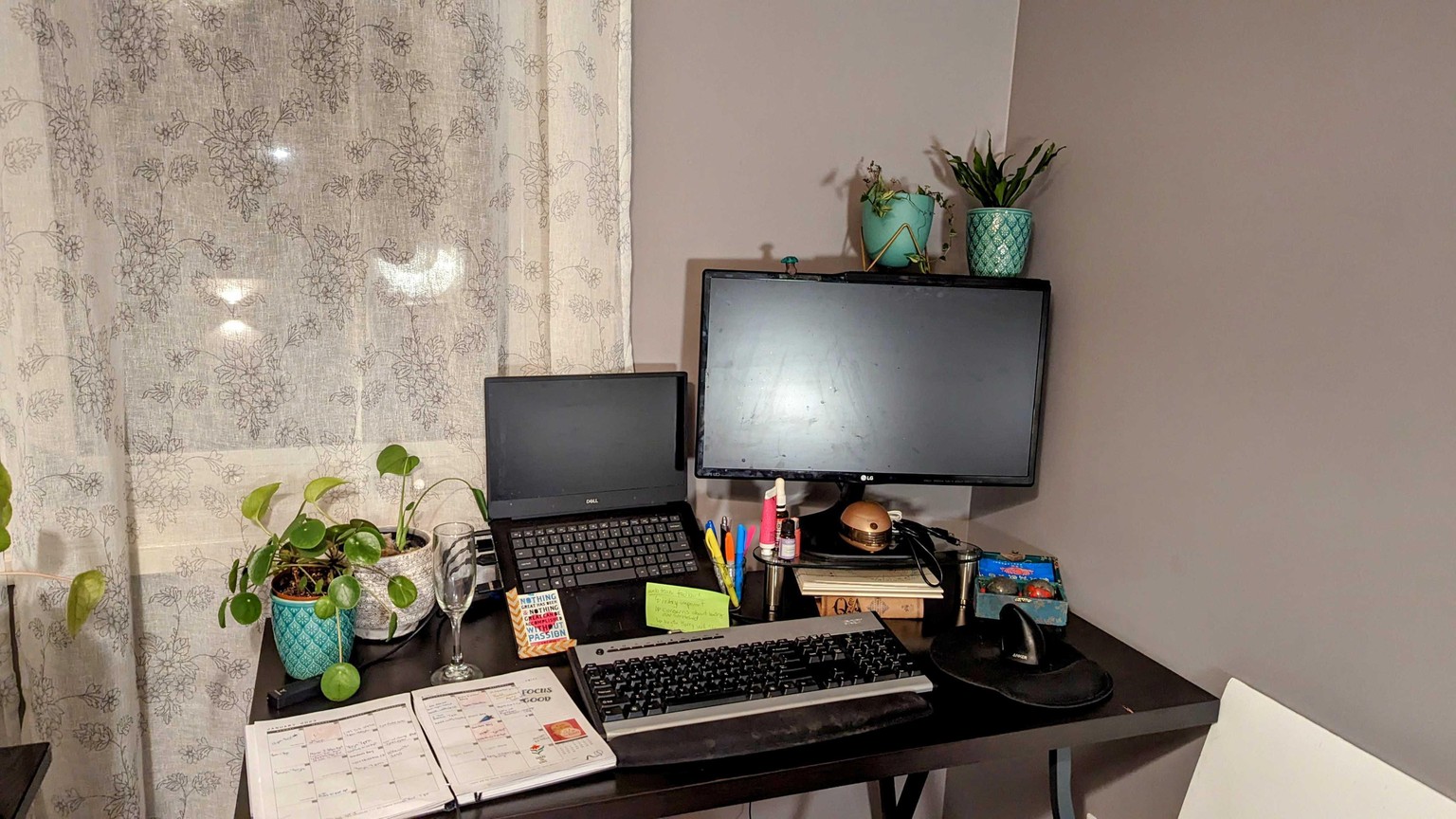 Being more mindful with plants in my office decor - image 2 - student project