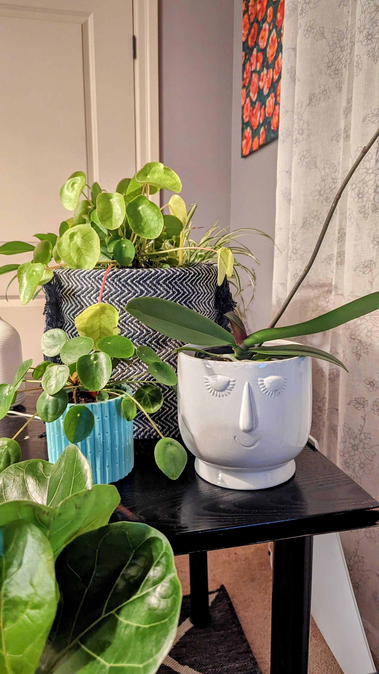 Being more mindful with plants in my office decor - image 12 - student project