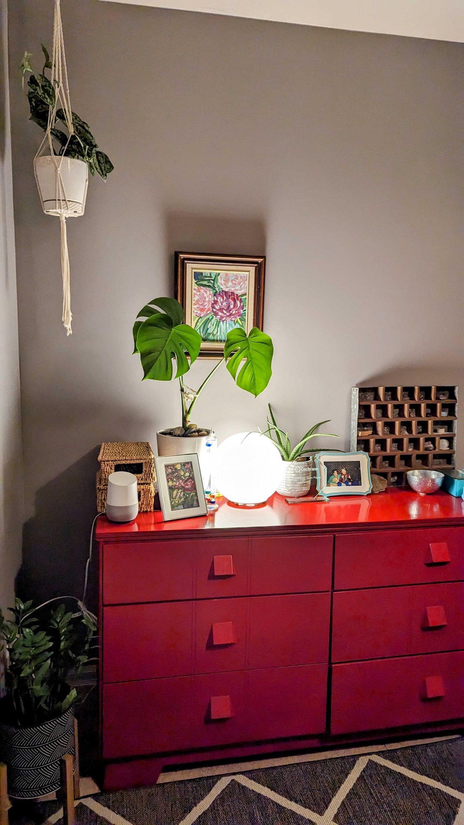 Being more mindful with plants in my office decor - image 8 - student project