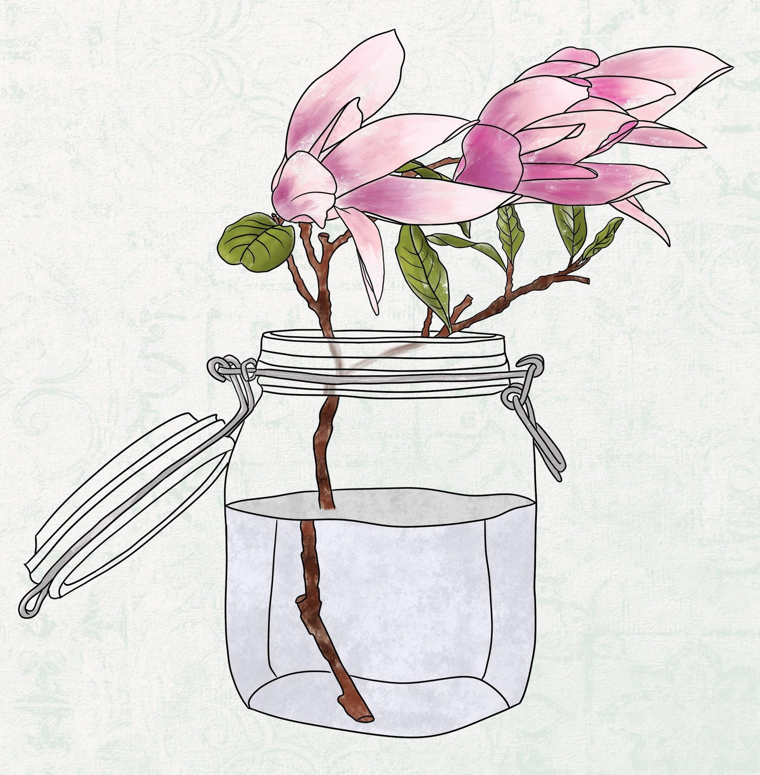 Magnolias - image 1 - student project