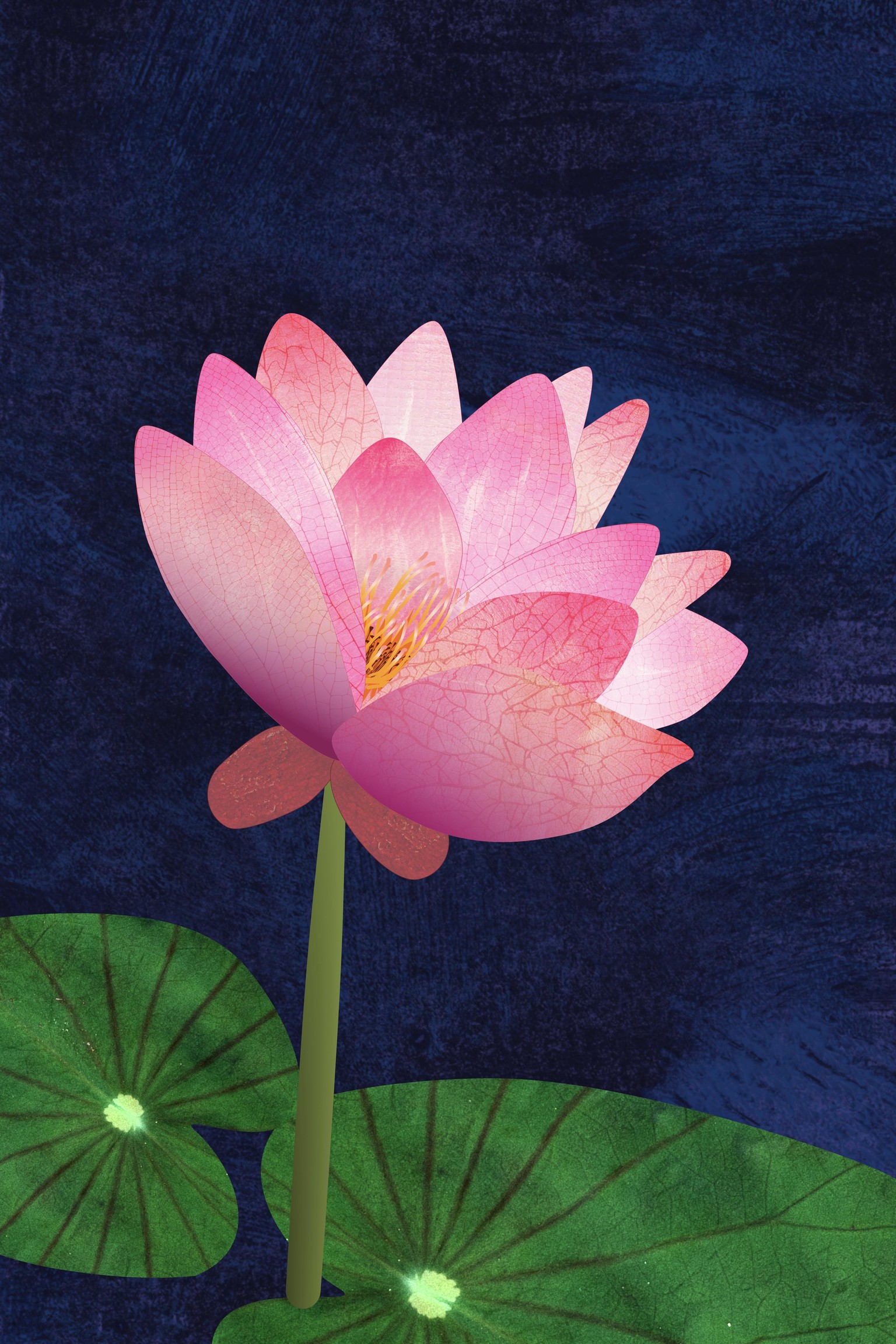 Water Lily - image 1 - student project