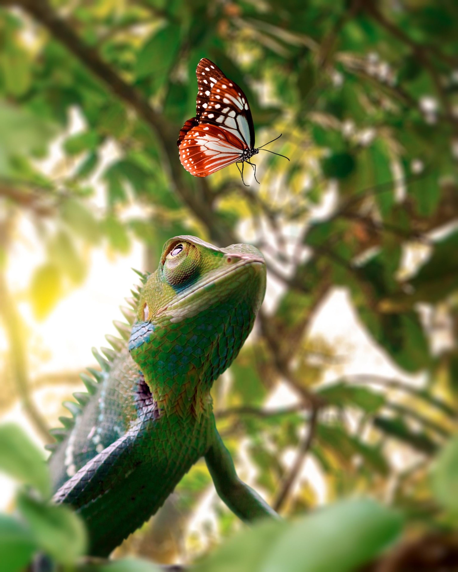 Photorealistic Chameleon - image 1 - student project