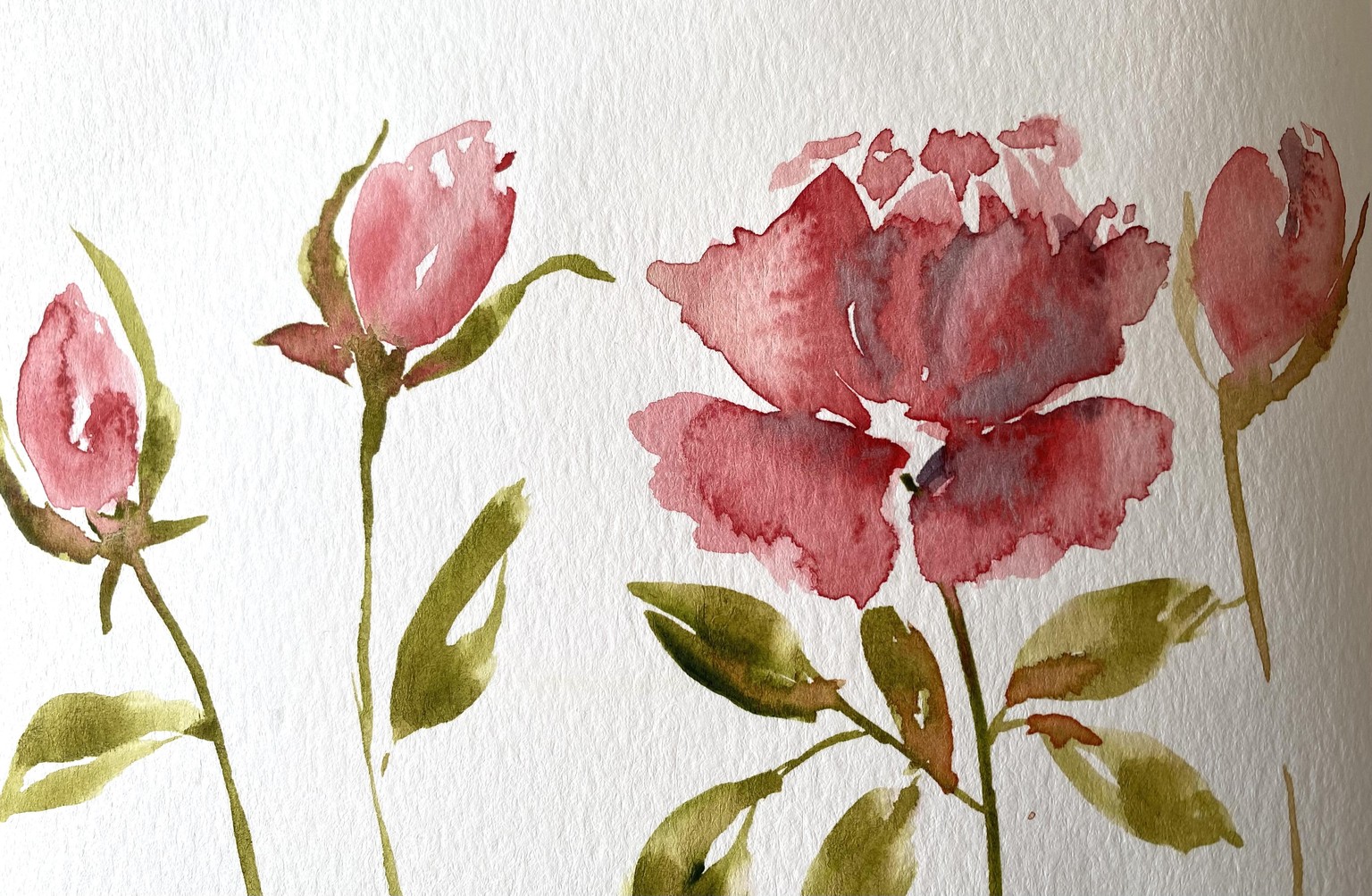 Watercolour roses - image 3 - student project