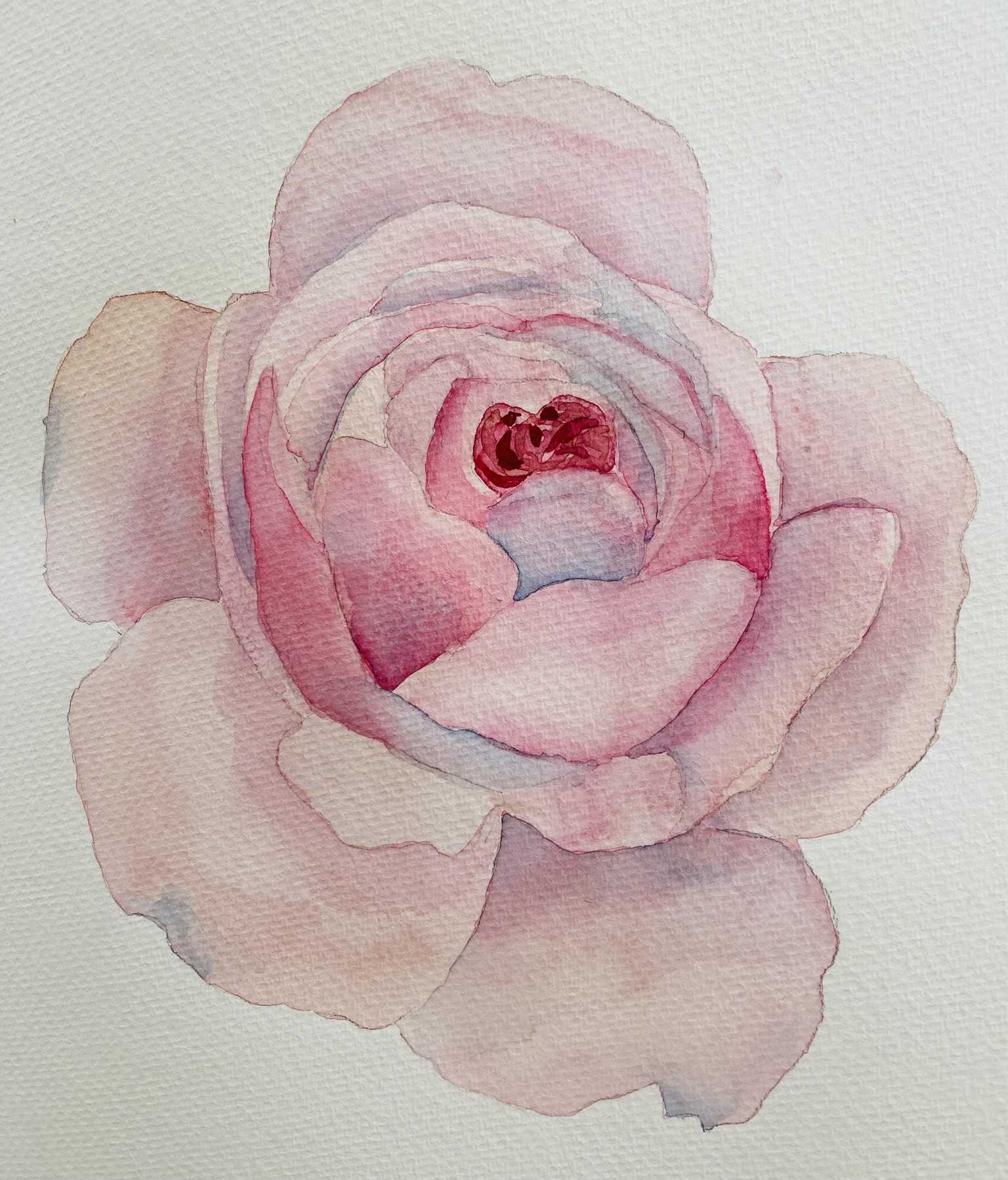 Realistic rose - image 1 - student project