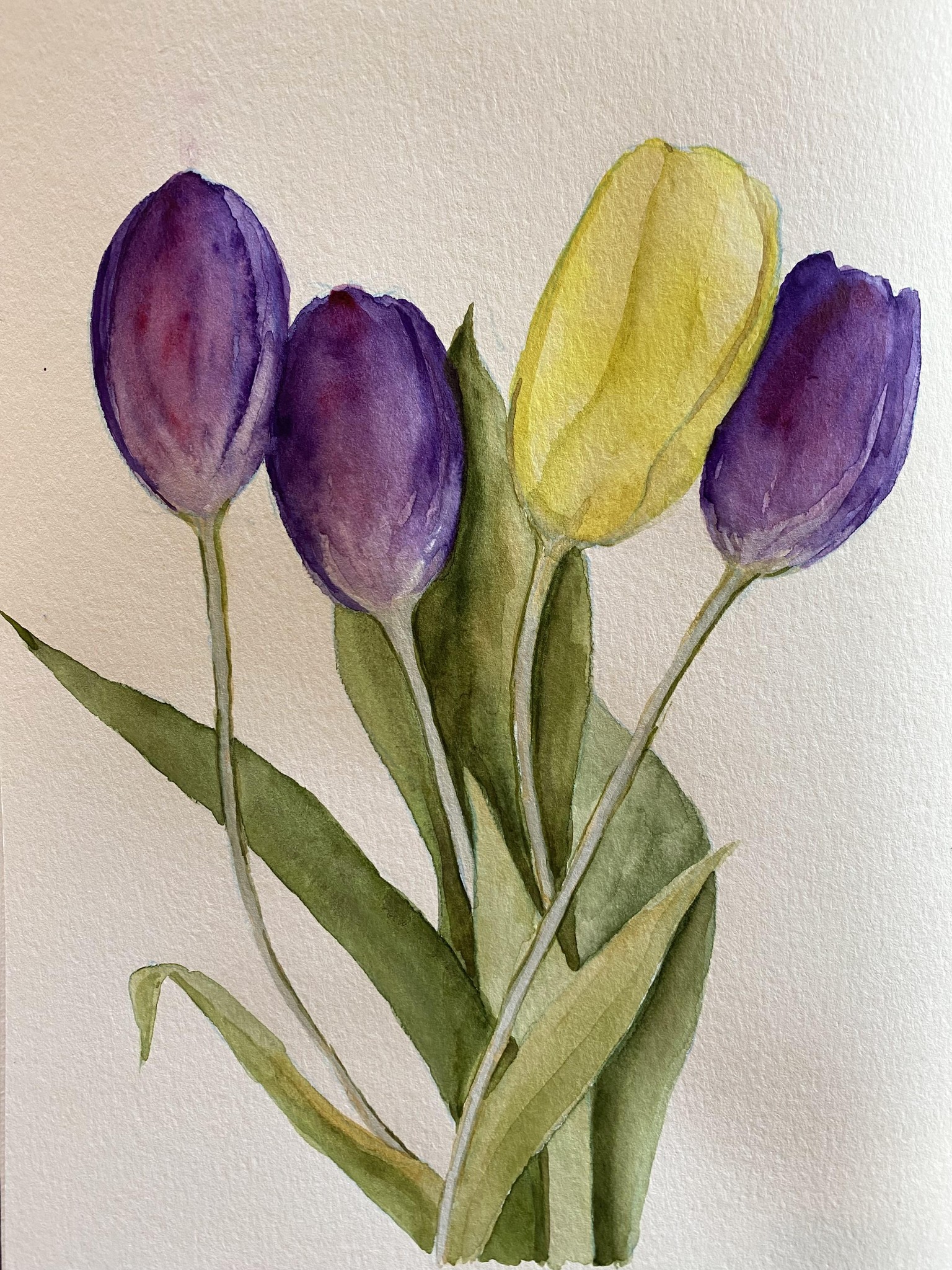 Watercolour tulips - image 1 - student project