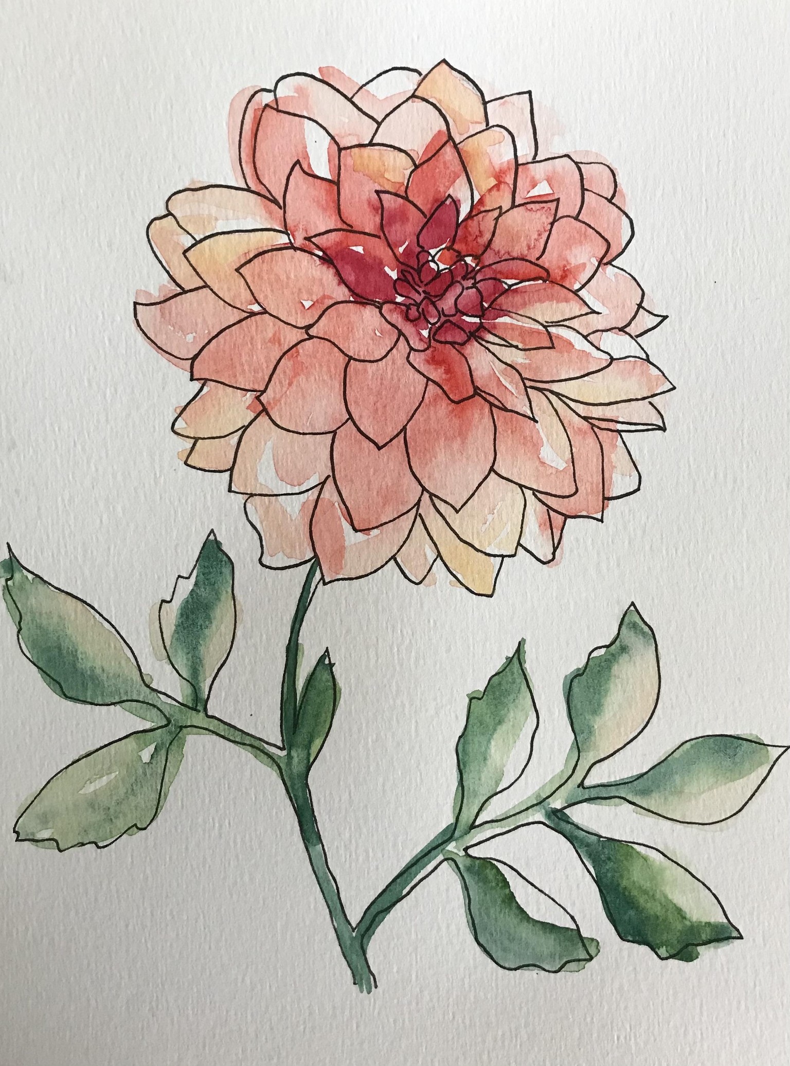 Watercolour dahlias - image 1 - student project