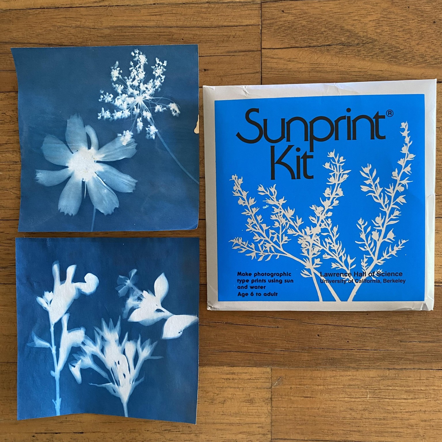 Summer adventures in the garden - image 3 - student project