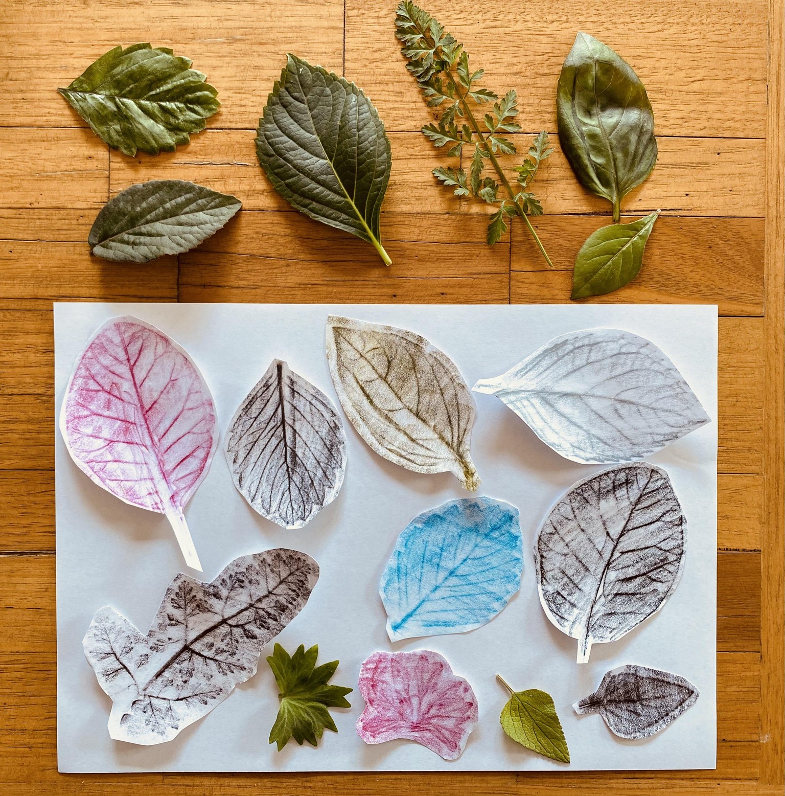 Summer adventures in the garden - image 1 - student project