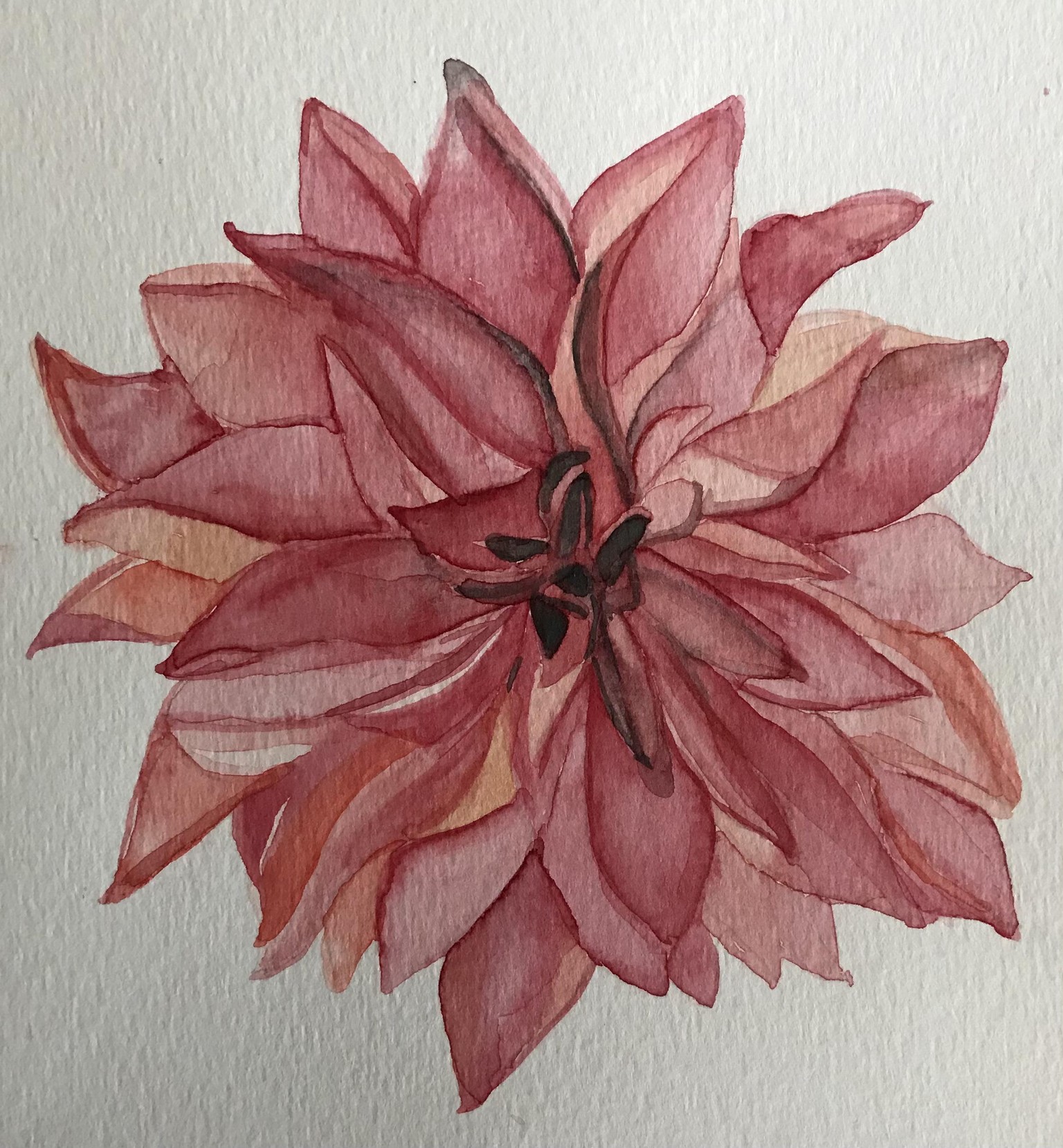 Watercolour dahlias - image 2 - student project