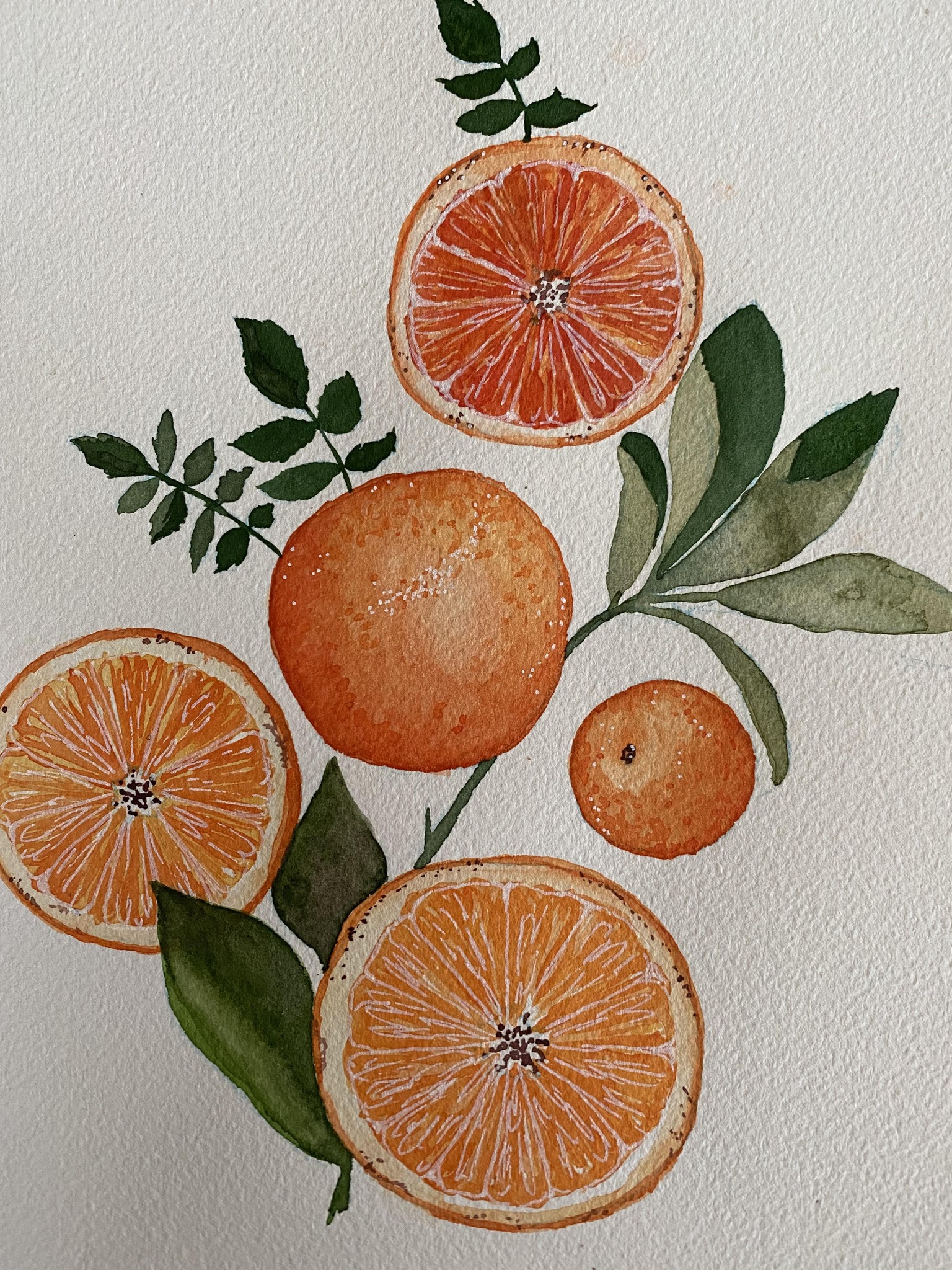Cheerful citrus watercolour - image 1 - student project