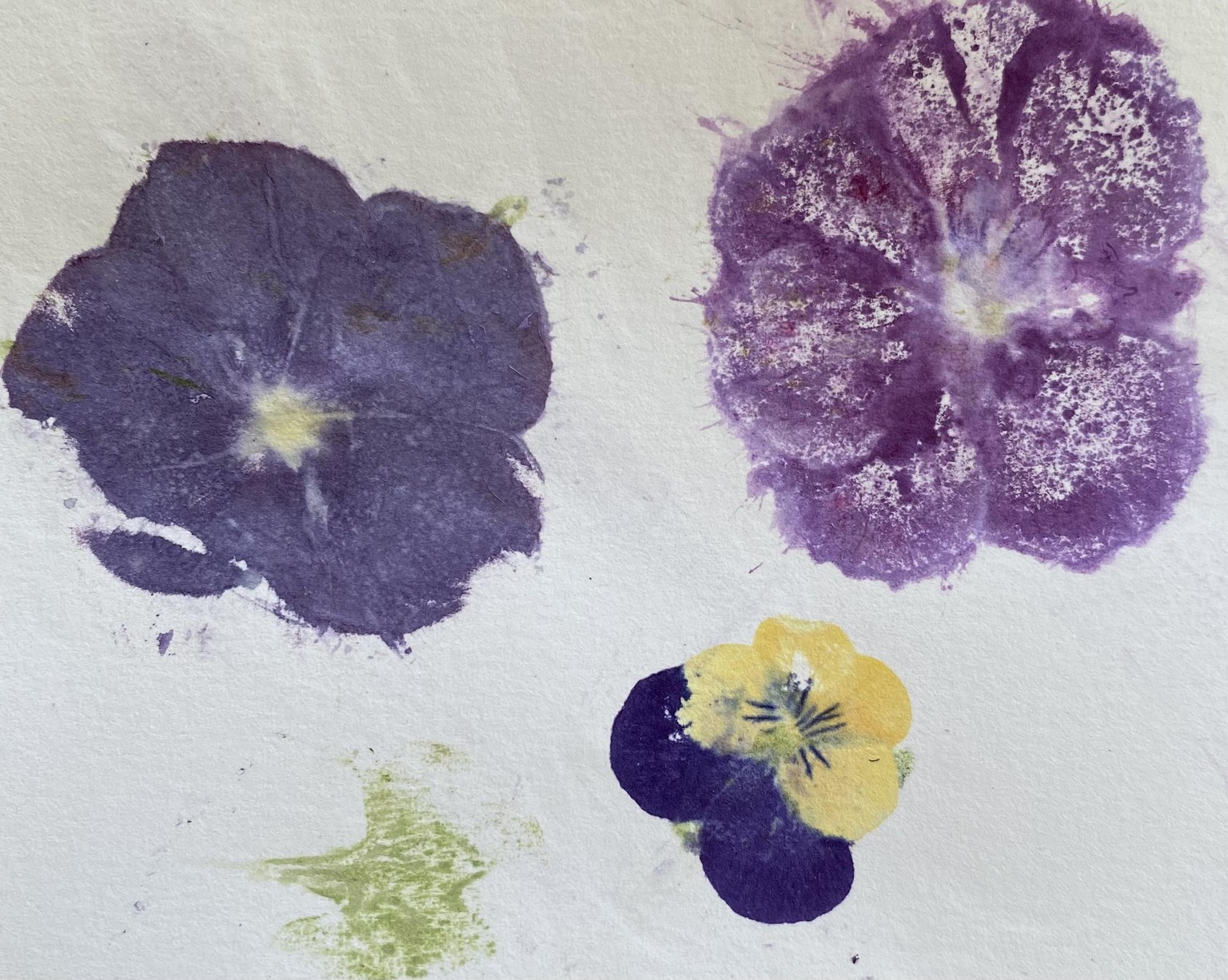 Summer adventures in the garden - image 2 - student project