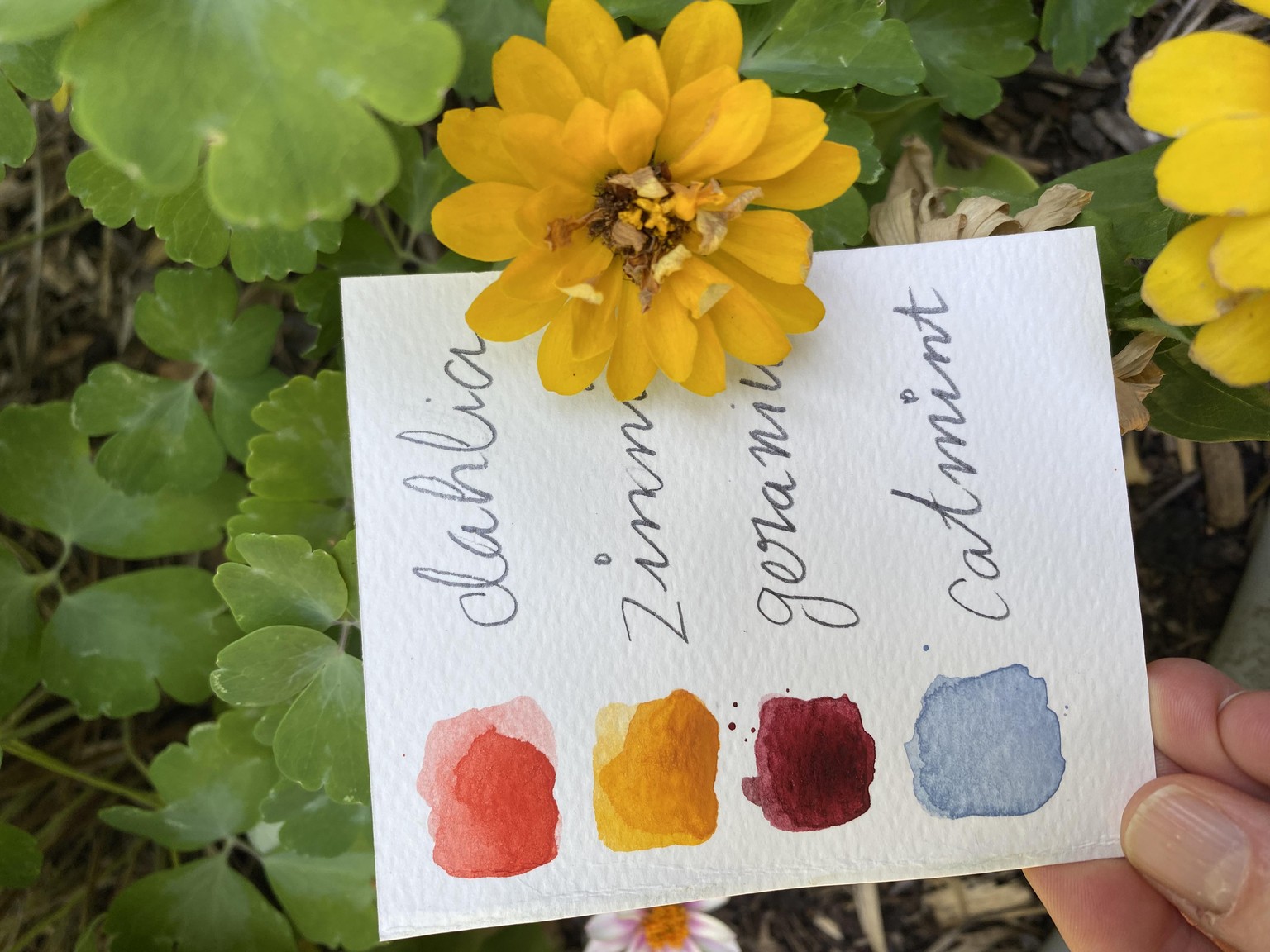 Summer adventures in the garden - image 5 - student project