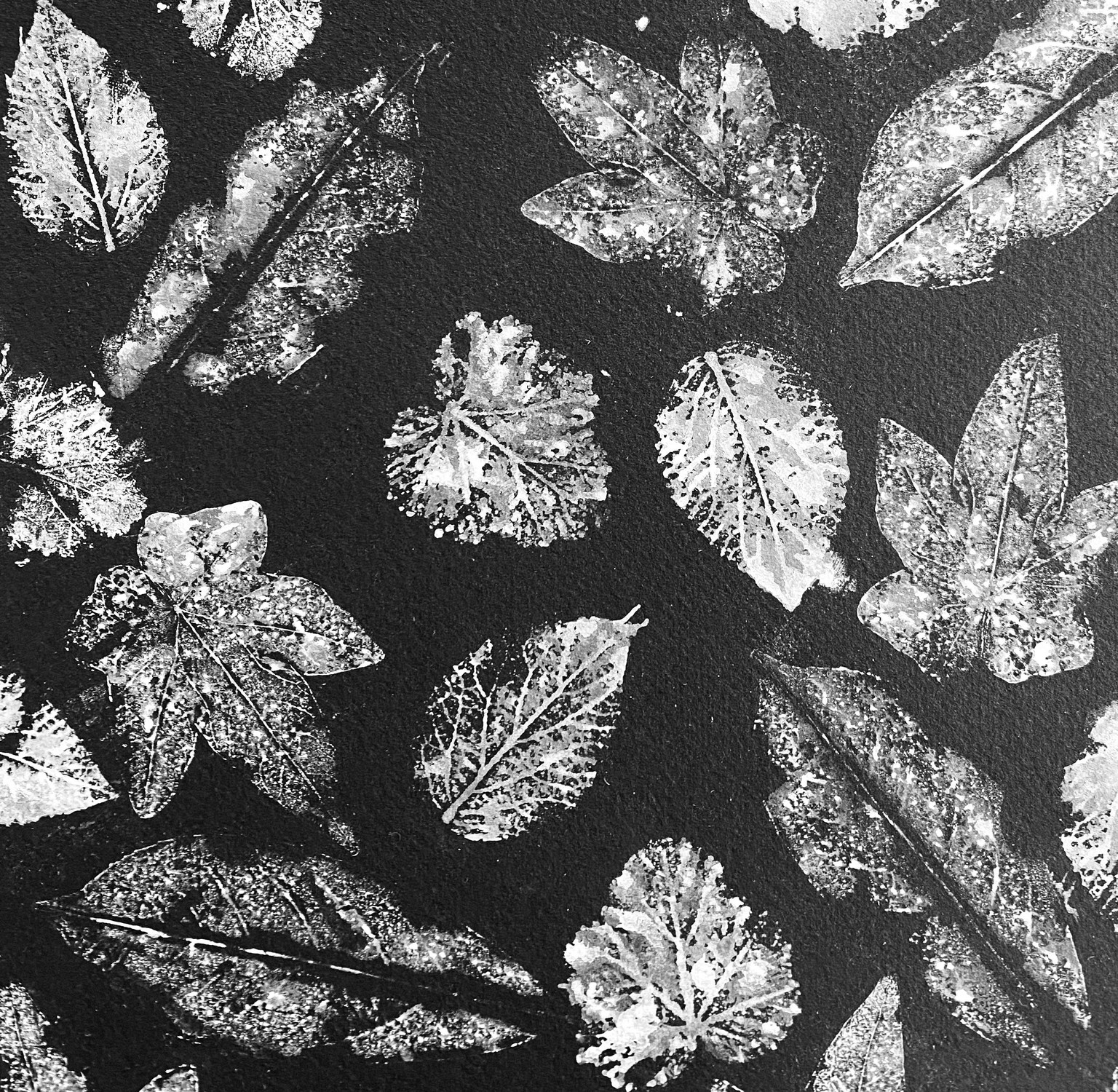 Leaf printing - image 2 - student project