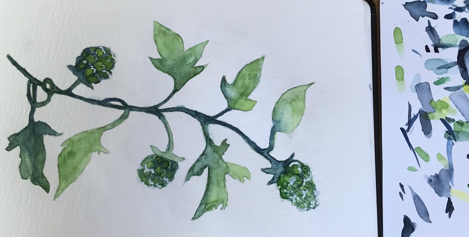 Greenery in watercolour - image 2 - student project