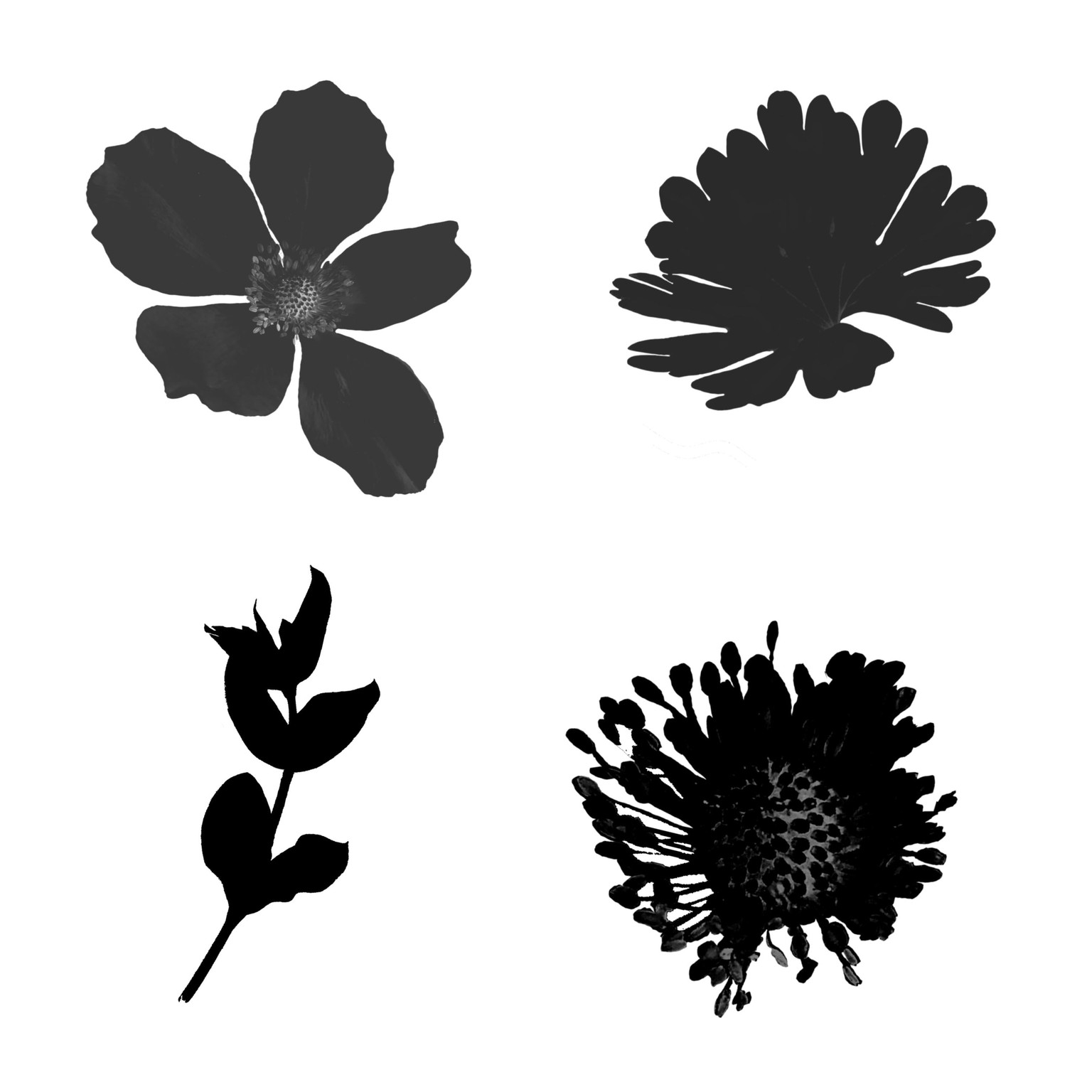 Nature brushes - image 1 - student project