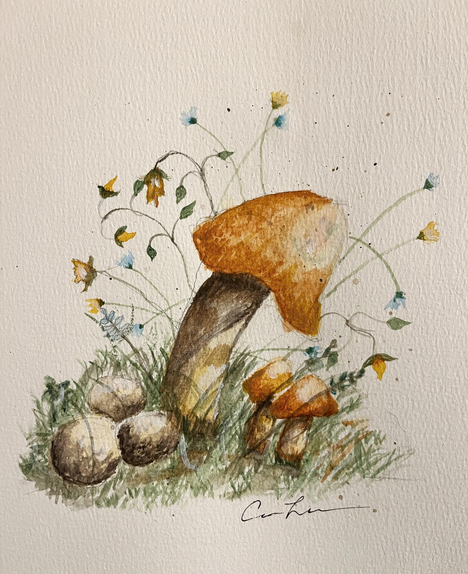 Mushroom Project - image 1 - student project