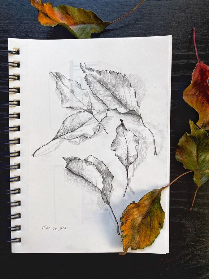 Urban Sketching with Barbara Luel - image 3 - student project