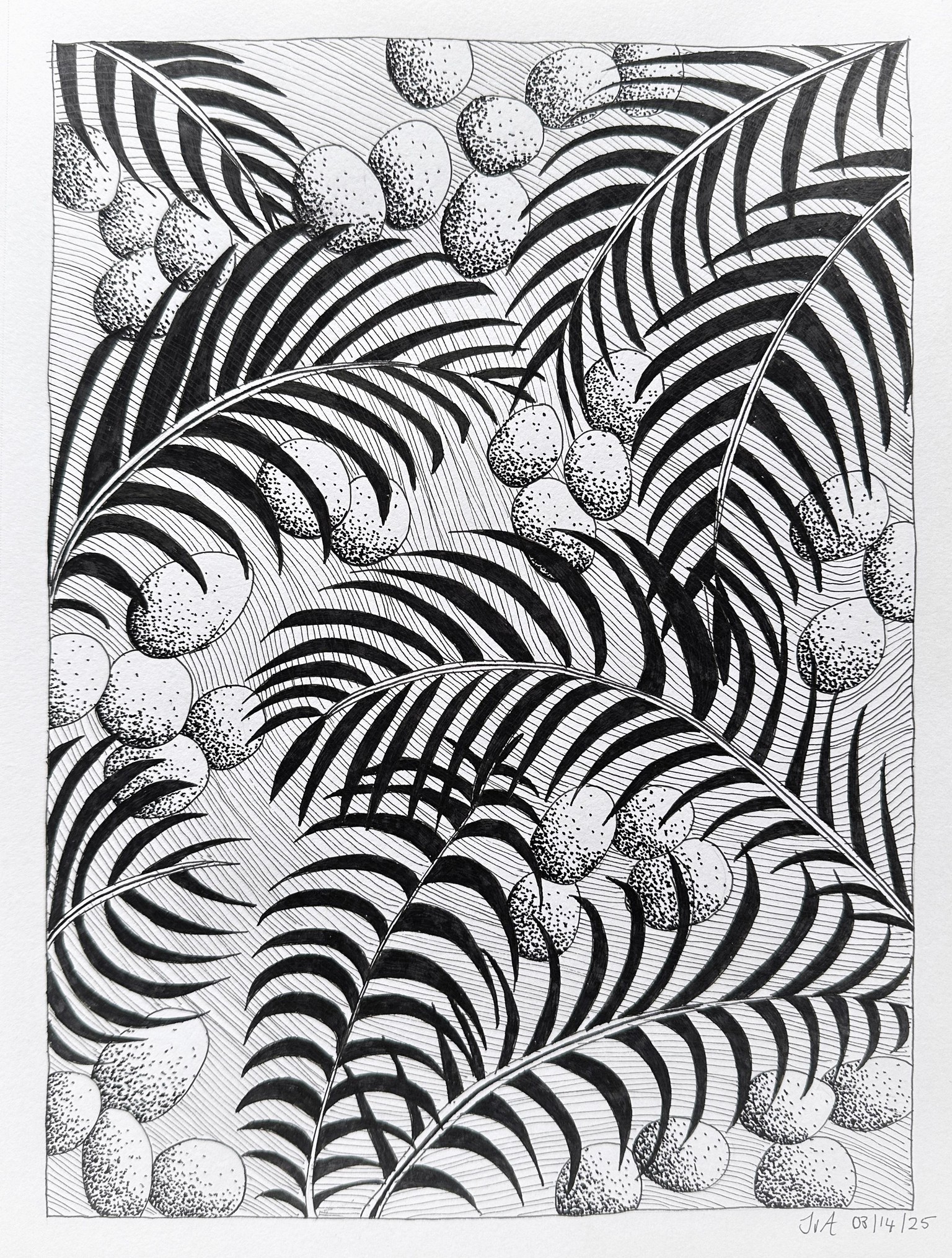 Creative Line art drawing with ink pens - image 1 - student project