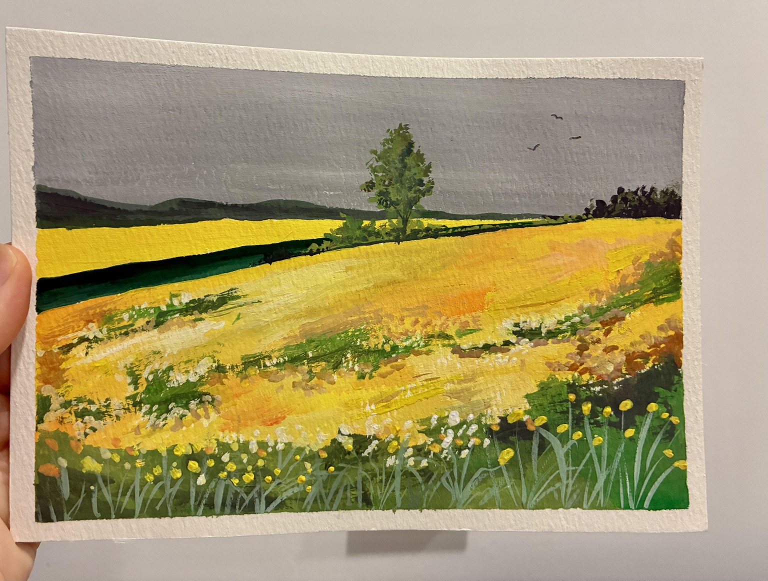 Flower fields - image 4 - student project