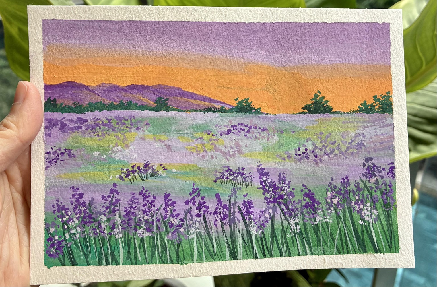 Flower fields - image 2 - student project