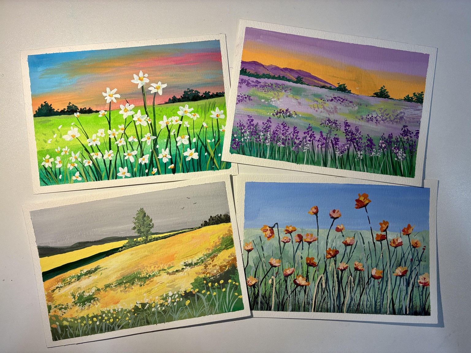 Flower fields - image 1 - student project