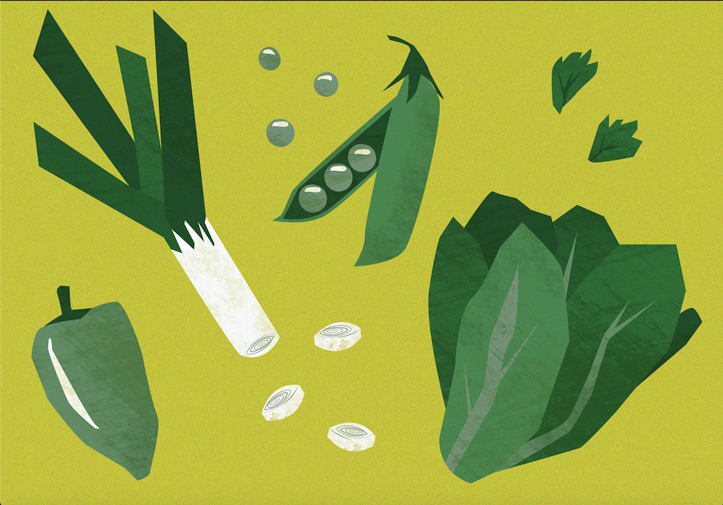Food illustartion - image 1 - student project