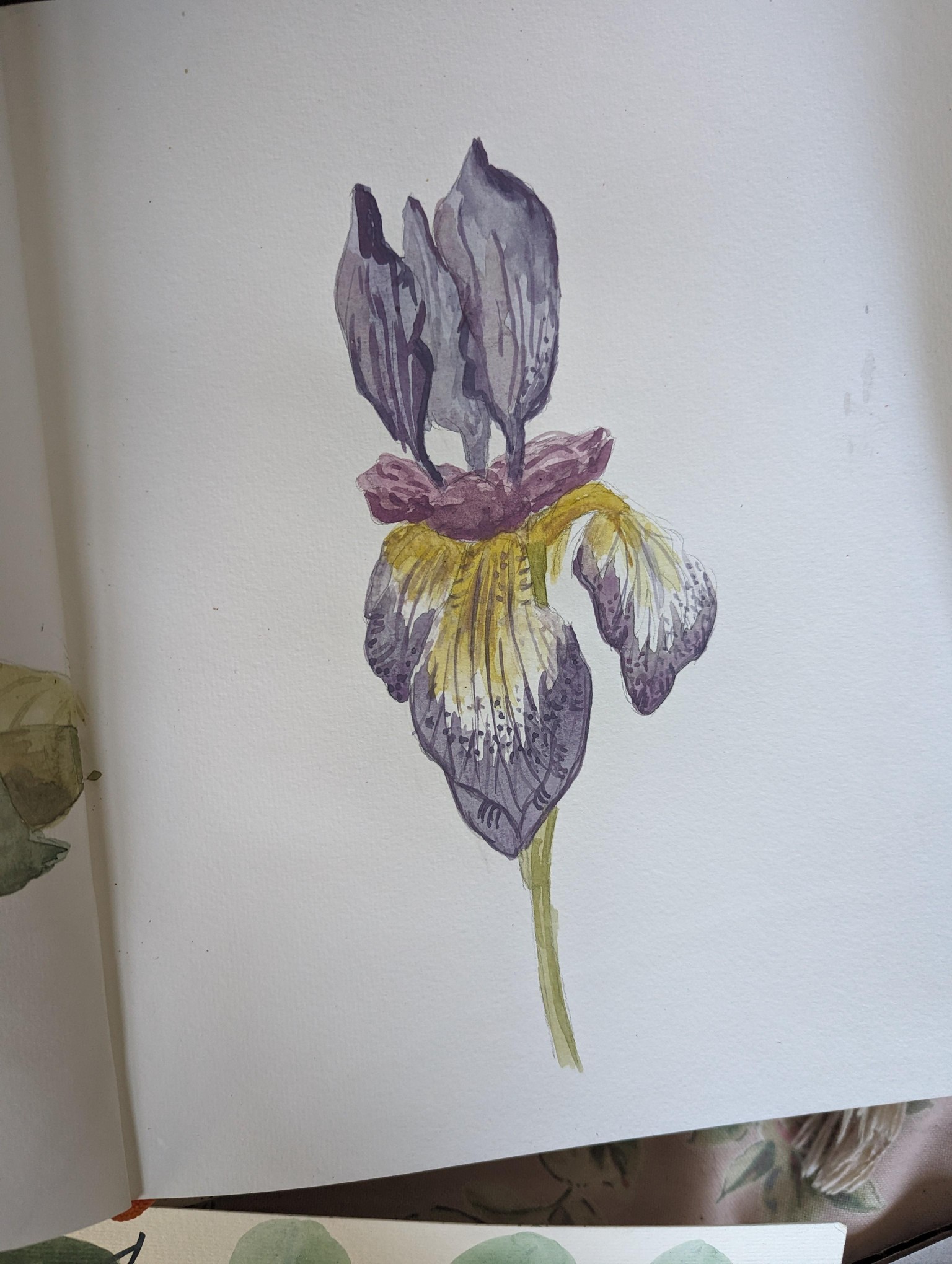 Loose but precise watercolor flowers - image 1 - student project