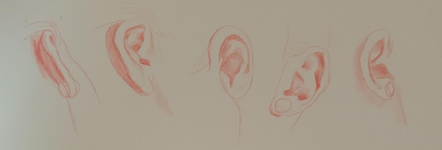 Lesson 7 practice - image 4 - student project