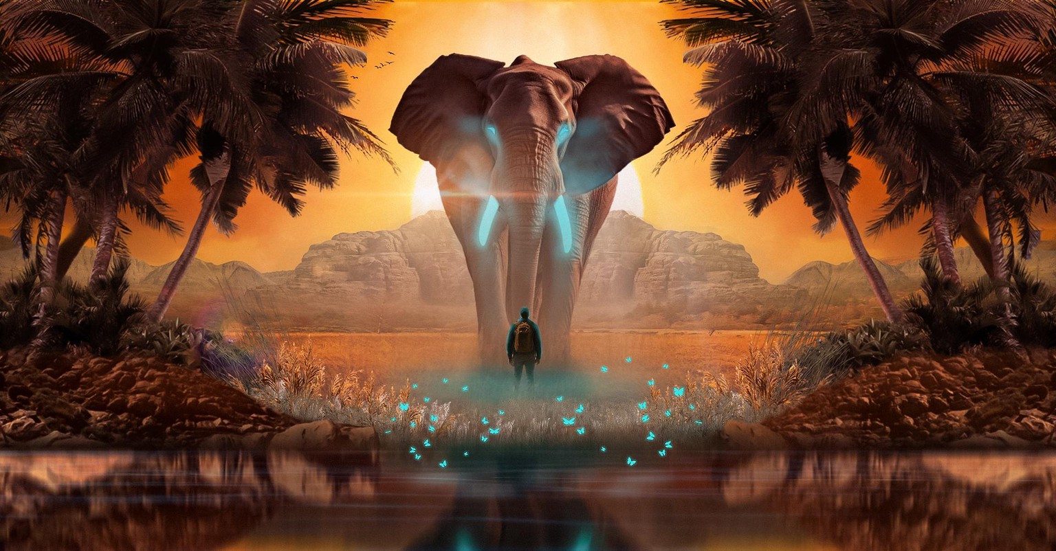 Elephant - image 1 - student project