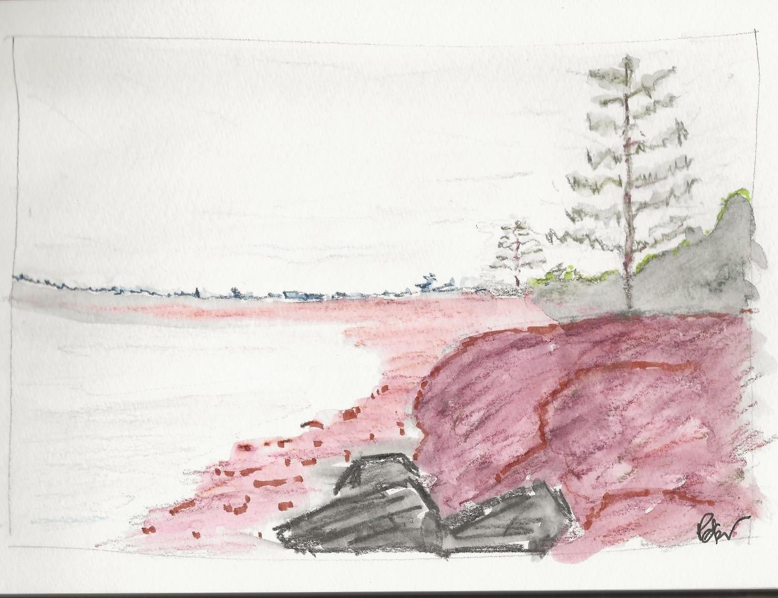 Landscapes - image 3 - student project