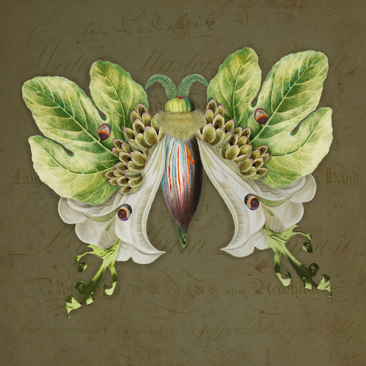 Botanical Moth Creatures - image 4 - student project
