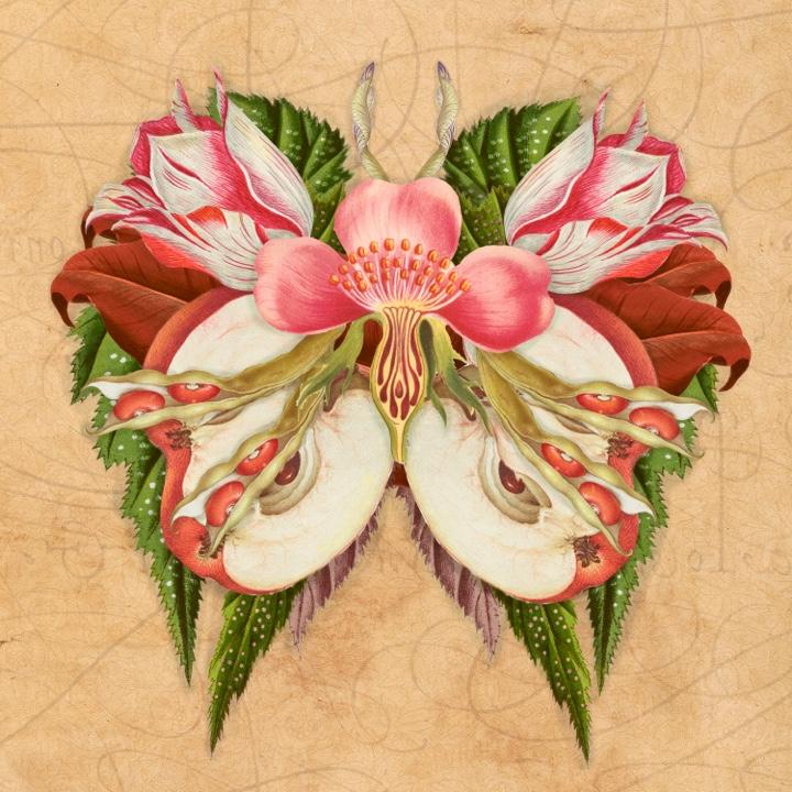 Botanical Moth Creatures - image 2 - student project