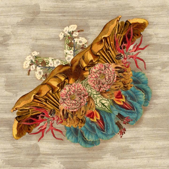 Botanical Moth Creatures - image 1 - student project