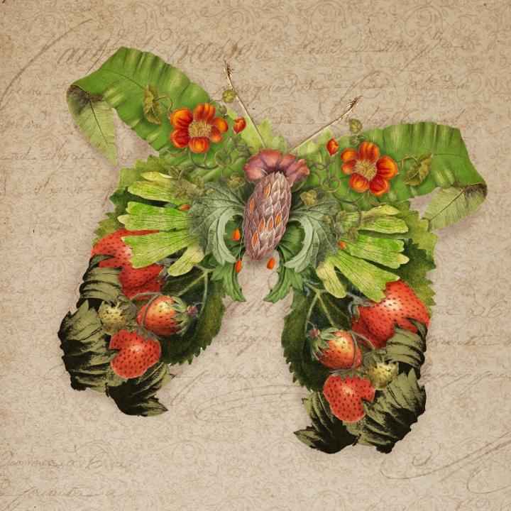 Botanical Moth Creatures - image 3 - student project