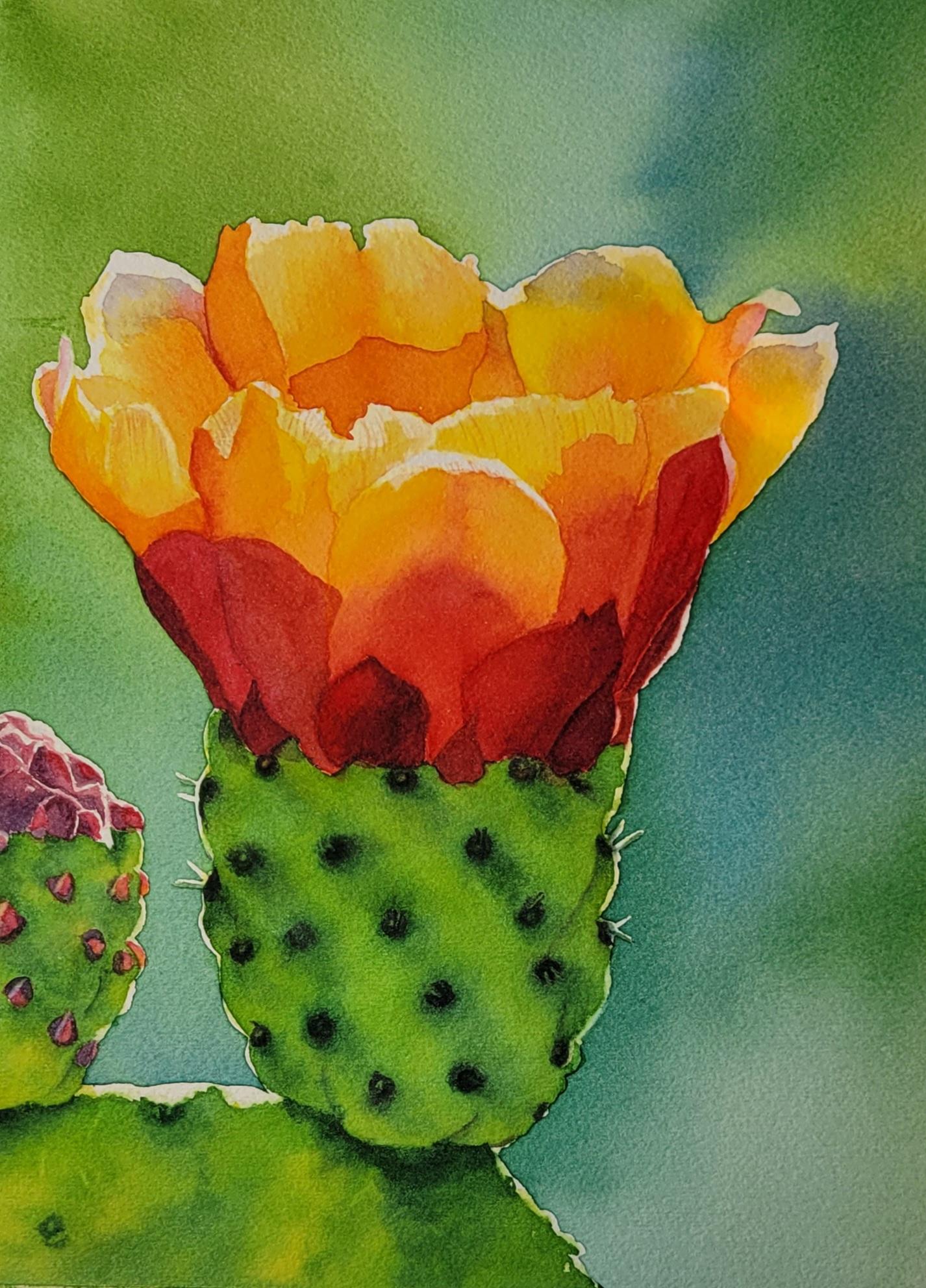 Cactus click on image for full size view. - image 1 - student project
