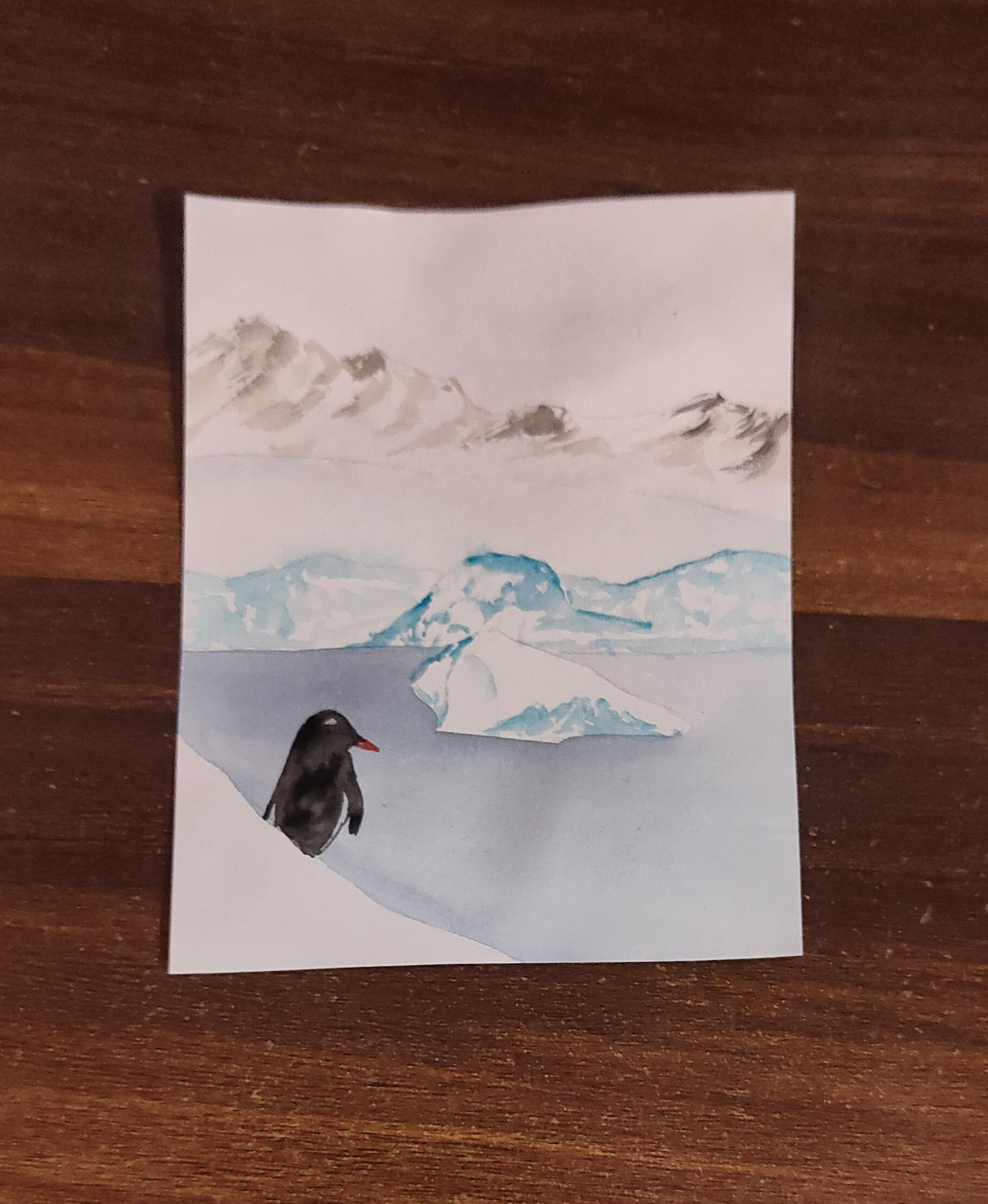 7/7 continents - image 3 - student project