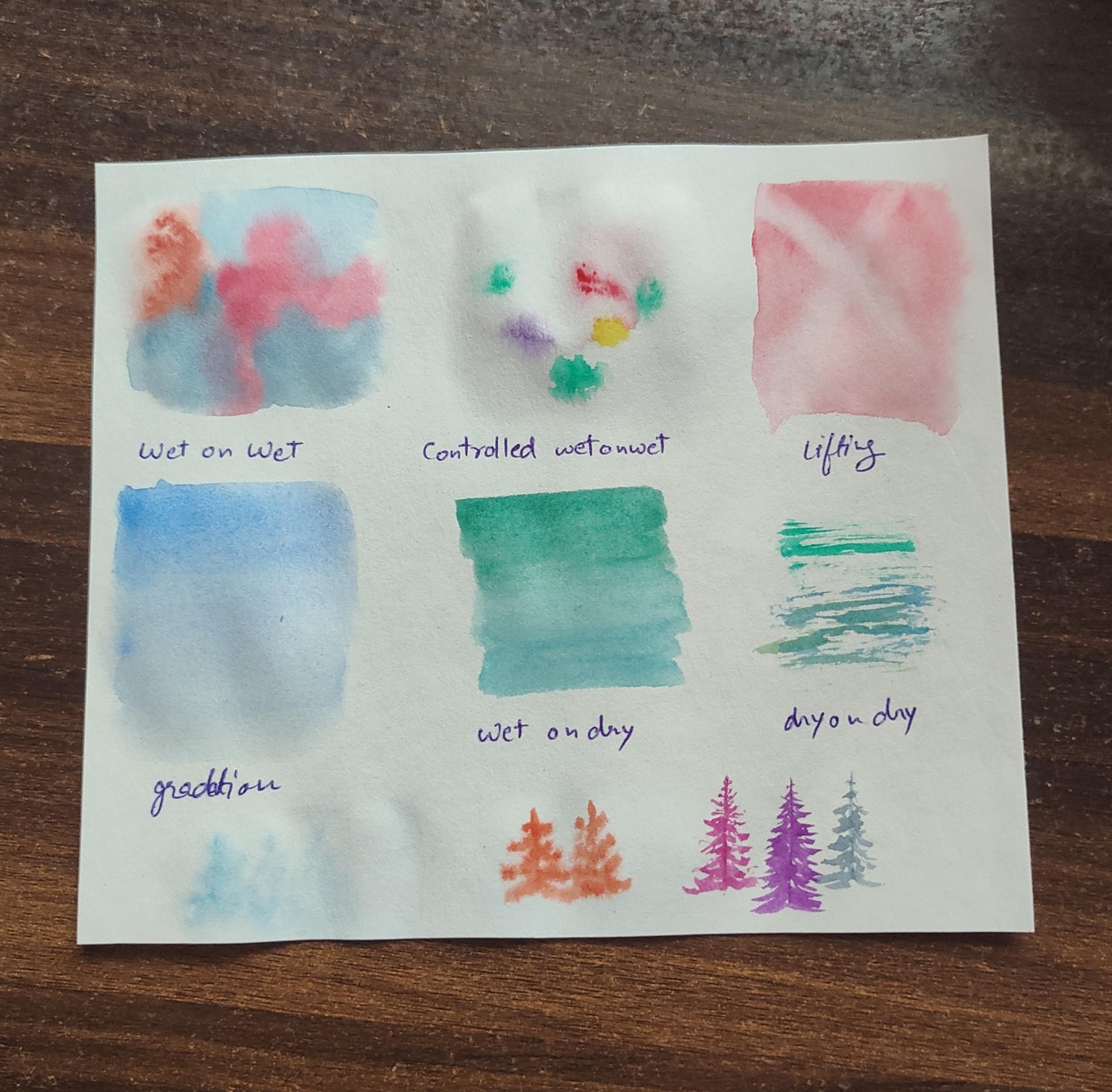 3 projects and Techniques - image 4 - student project